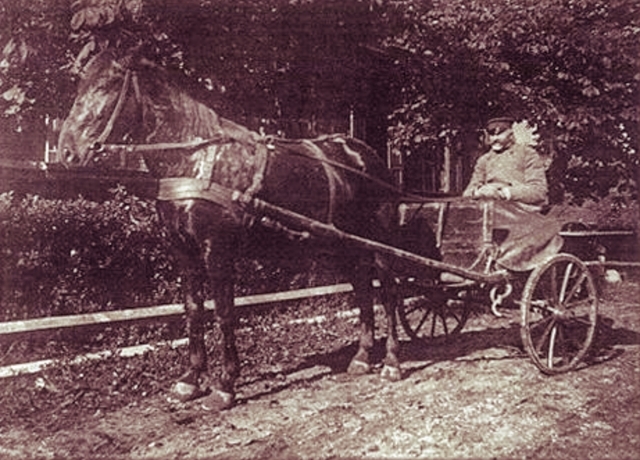 Zdjęcie plenerowe. Na pierwszym planie koń ciągnący wóz na którym siedzi inż. Stanisław Kierbedź. 
